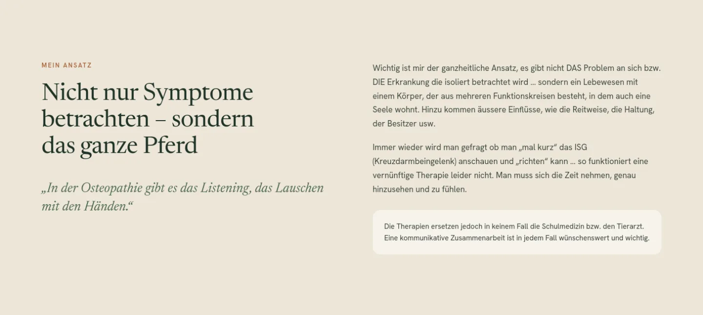 Ganzheitlicher Ansatz: Nicht nur Symptome betrachten, sondern das ganze Pferd